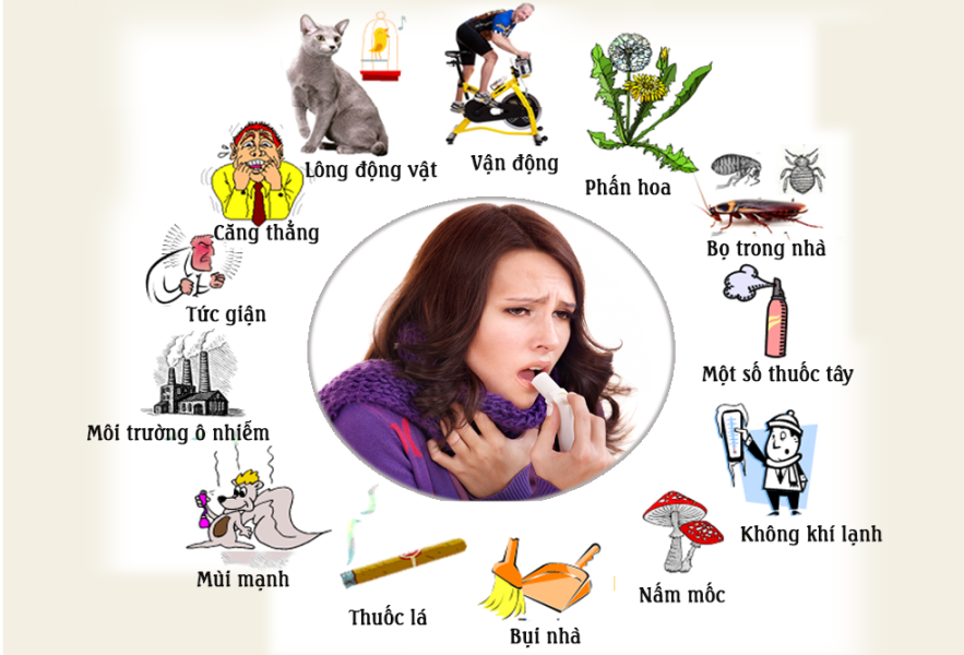 Dị nguyên là những yếu tố kích thích gây hen suyễn