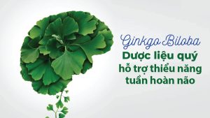 Bạch quả cải thiện thiểu năng tuần hoàn não