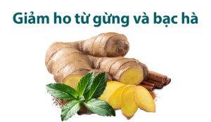 Giảm ho từ gừng và bạc hà