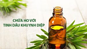 tinh dầu khuynh diệp chữa ho
