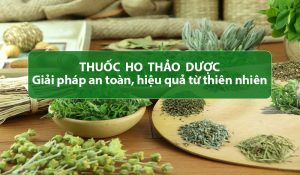 Thuốc ho thảo dược - giải pháp an toàn, hiệu quả từ thiên nhiên