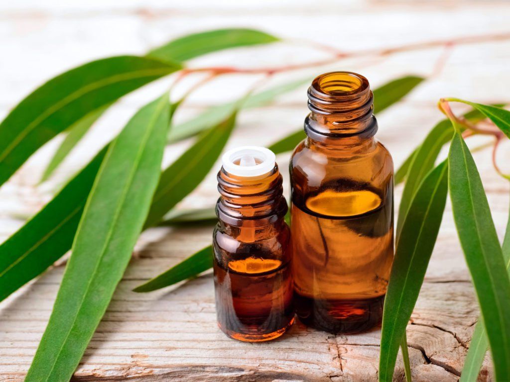 Tinh dầu khuynh diệp làm giảm ho, làm loãng đờm và thông đường thở