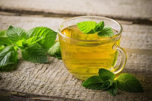 Bạc hà giúp làm thông thoáng đường thở và giúp hô hấp dễ dàng hơn