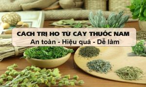 trị ho từ cây thuốc nma