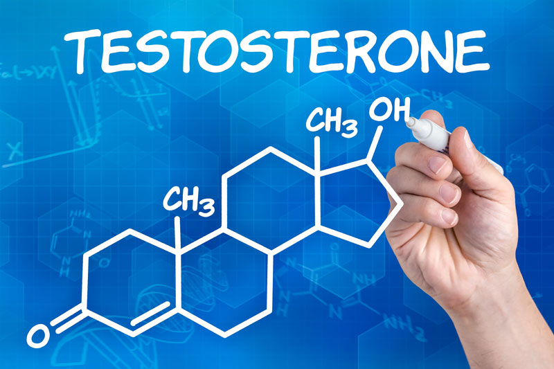 Lượng hormone Testosterone ở nam giới cao hơn nữ giới rất nhiều