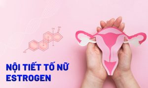 hormone-estrogen