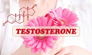 Hormone Testosterone đối với nữ giới