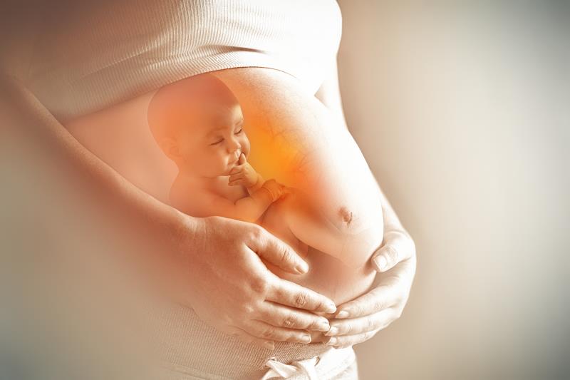 Hormone Progesterol giữ vai trò rất quan trọng đối với thai kỳ