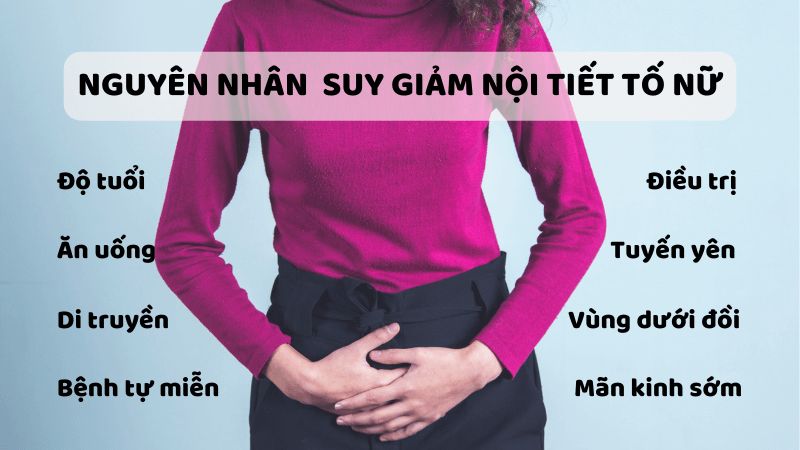 Nguyên nhân suy giảm nội tiết tố nữ
