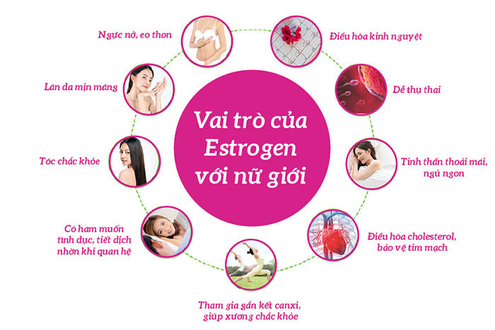 Estrogen đảm nhiệm nhiều vai trò quan trọng đối với chị em phụ nữ